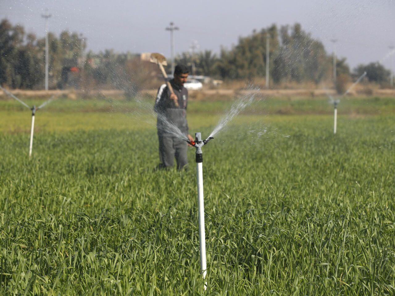 في مفارقة غريبة.. الحكومة تلزم المزارعين بالسقي عبر المرشات دون تجهيزهم بالكهرباء لتشغيلها