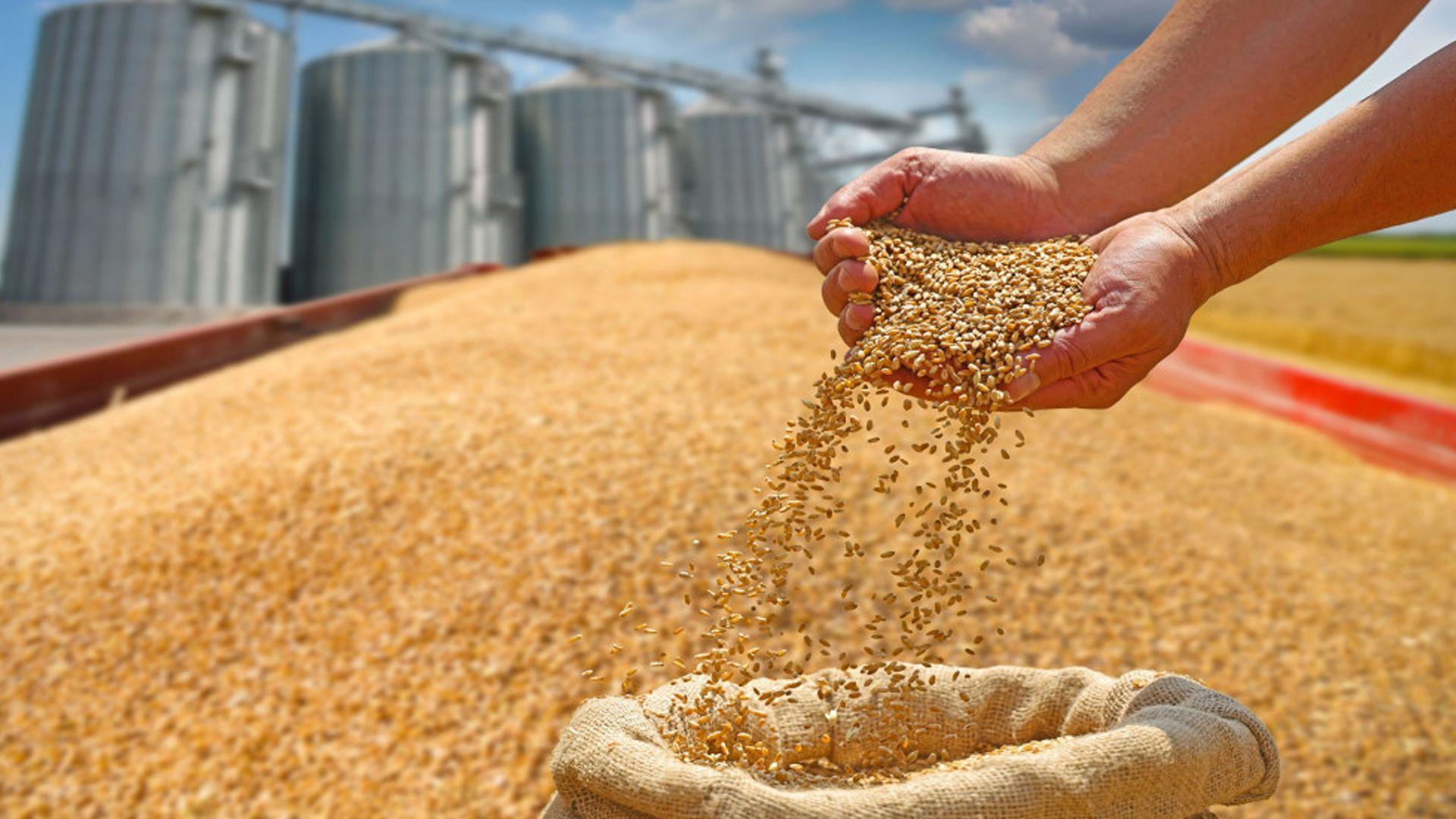   رێکخراوی فاو: نرخی خۆراک لە جیهاندا بە رێژەی 2% بەرزبووەتەوە