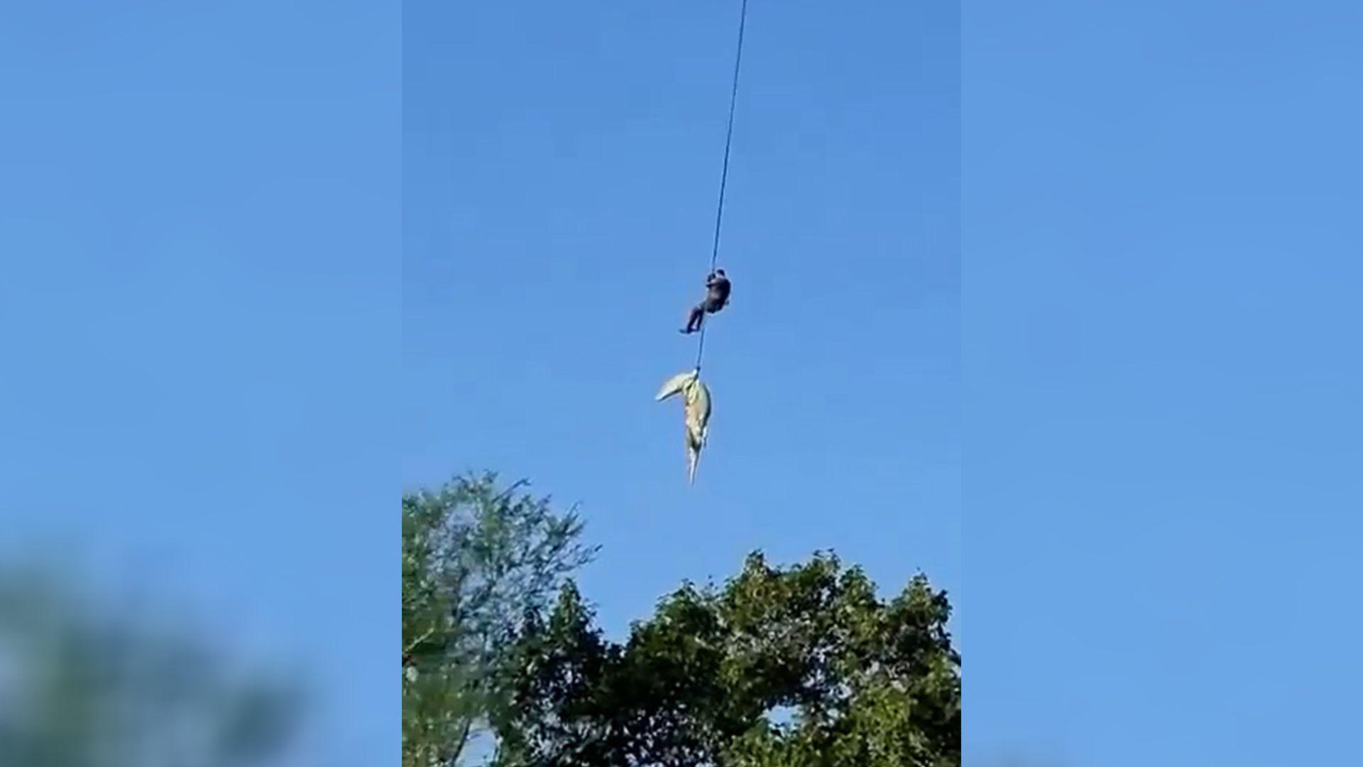 لە روداوێکی دەگمەندا؛ جەستەی کەسێکیان لە ناوسکی تیمساحێکدا دەرهێنا