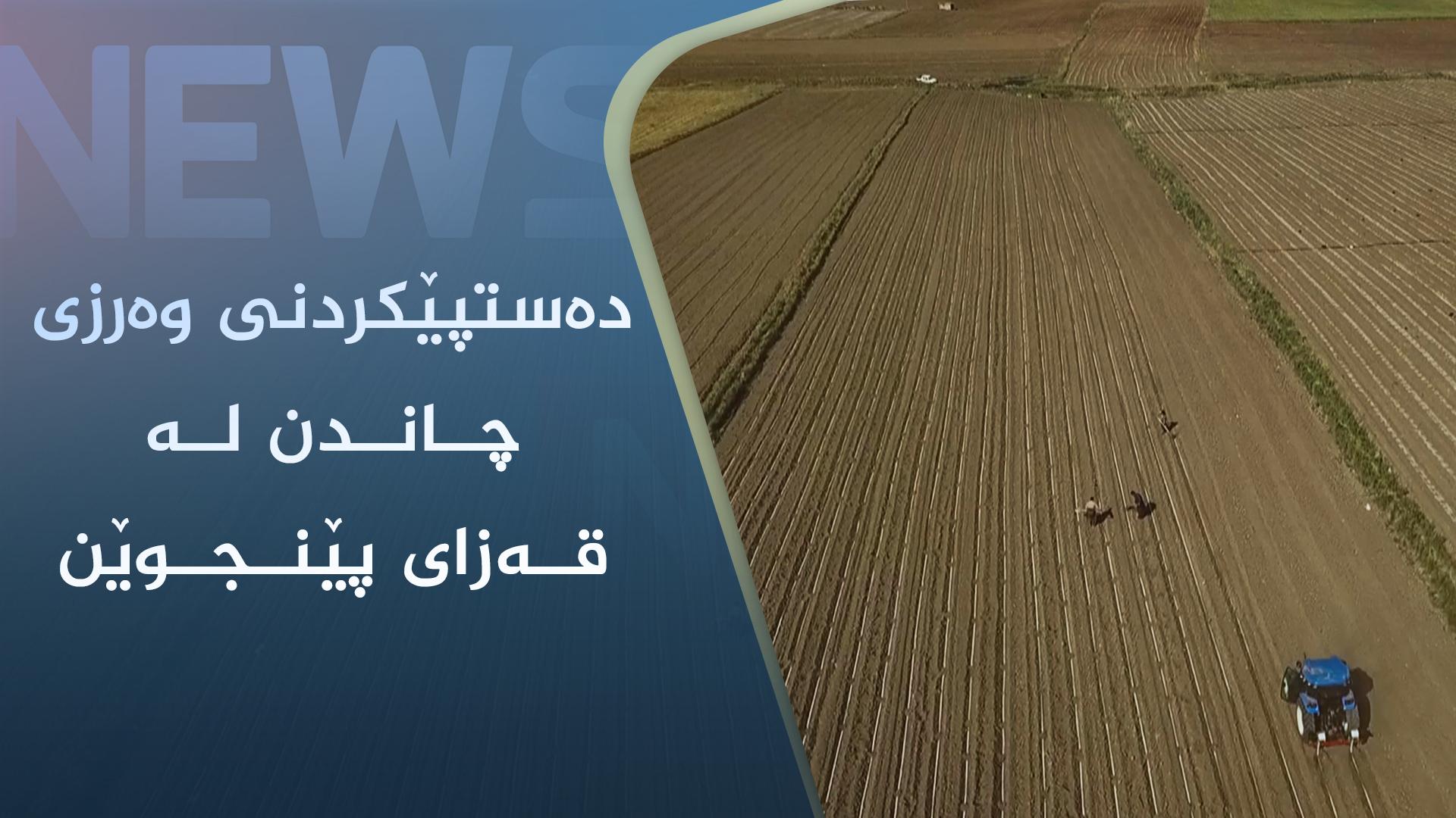 دەستپێکردنی وەرزی چاندن لە قەزای پێنجوێن 