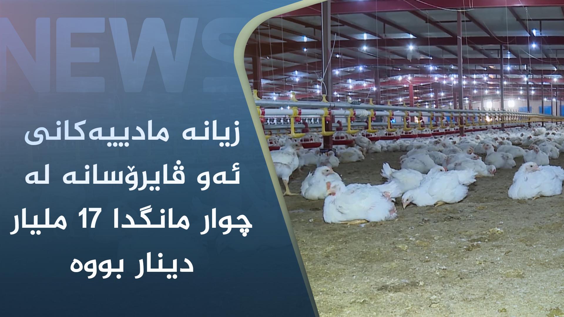 بڵاوبوونەوەی چەند جۆرێکی ڤایرۆس زیانی زۆری بە کێڵگە پەلەوەرییەکان گەیاندووە