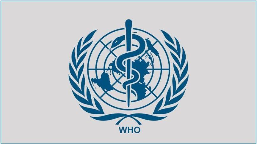 تا ئێستا لە جیھاندا ٧٨٠ حاڵەتی توشبوون بە ئاوڵەی مەیمون  تۆمار کراوە