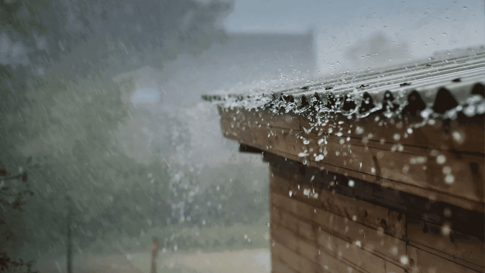 کەشناسی هەرێم رێژەی باران بارینی 24 سەعاتی رابردویی  بڵاوکردەوە؛ لە قەزای چوارتا زۆترین باریوە