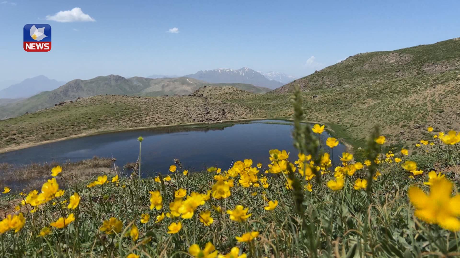لە برادۆست گەنجان ڕوو لە ڕووبارەکان دەکەن