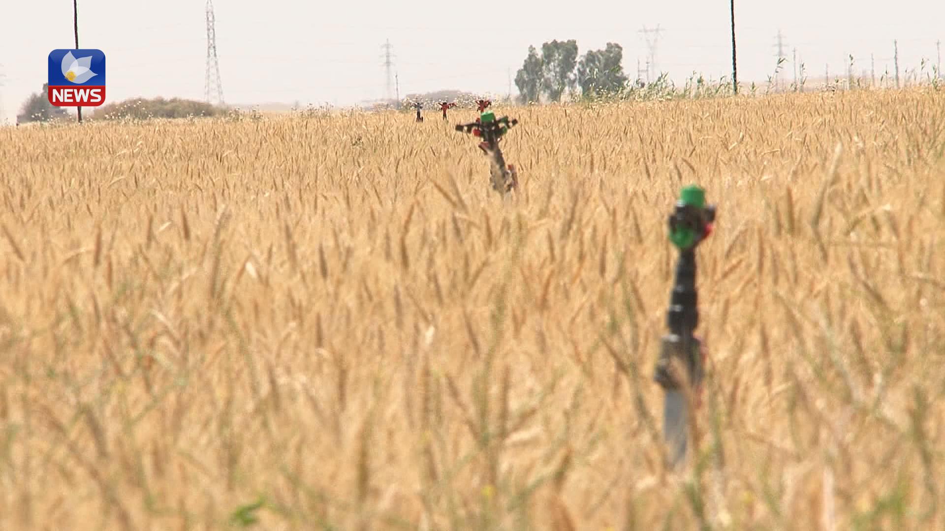 کارکردن بە گرێبەستە کشتوکاڵییەکانی تەعریب لە کەرکوک ڕاگیرا