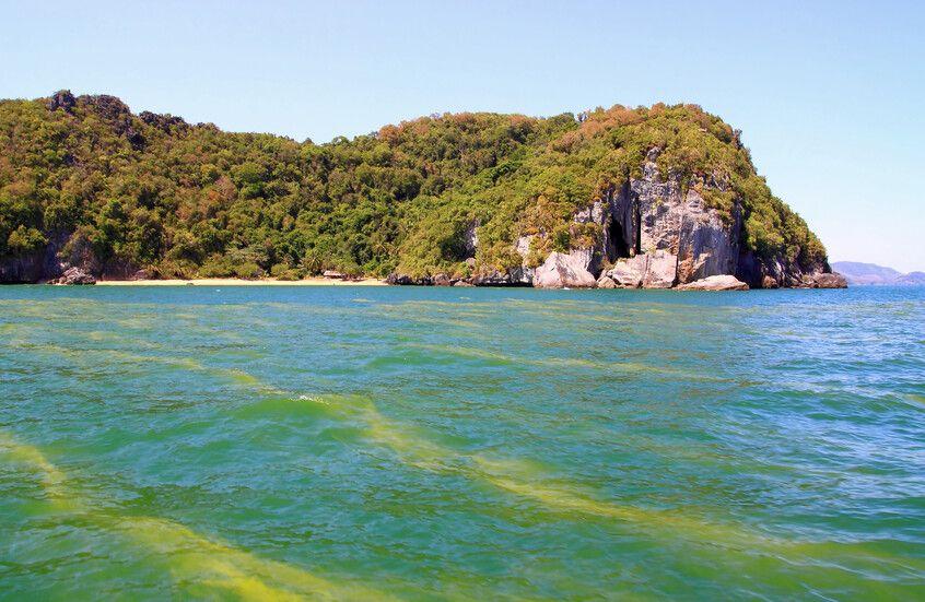 تحذير علمي: المحيط الهندي الجنوبي يفقد ملوحته بمعدل قياسي