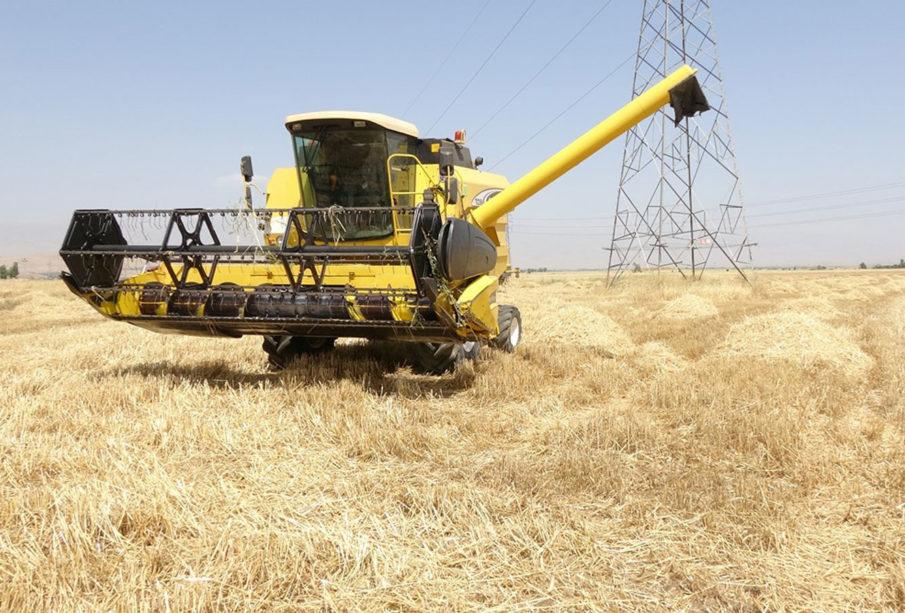 وەزارەتی بازرگانی عێراق بۆ وەرگرتنی گەنمی جوتیاران ئامادەکارییەکانی دەستپێکردووە