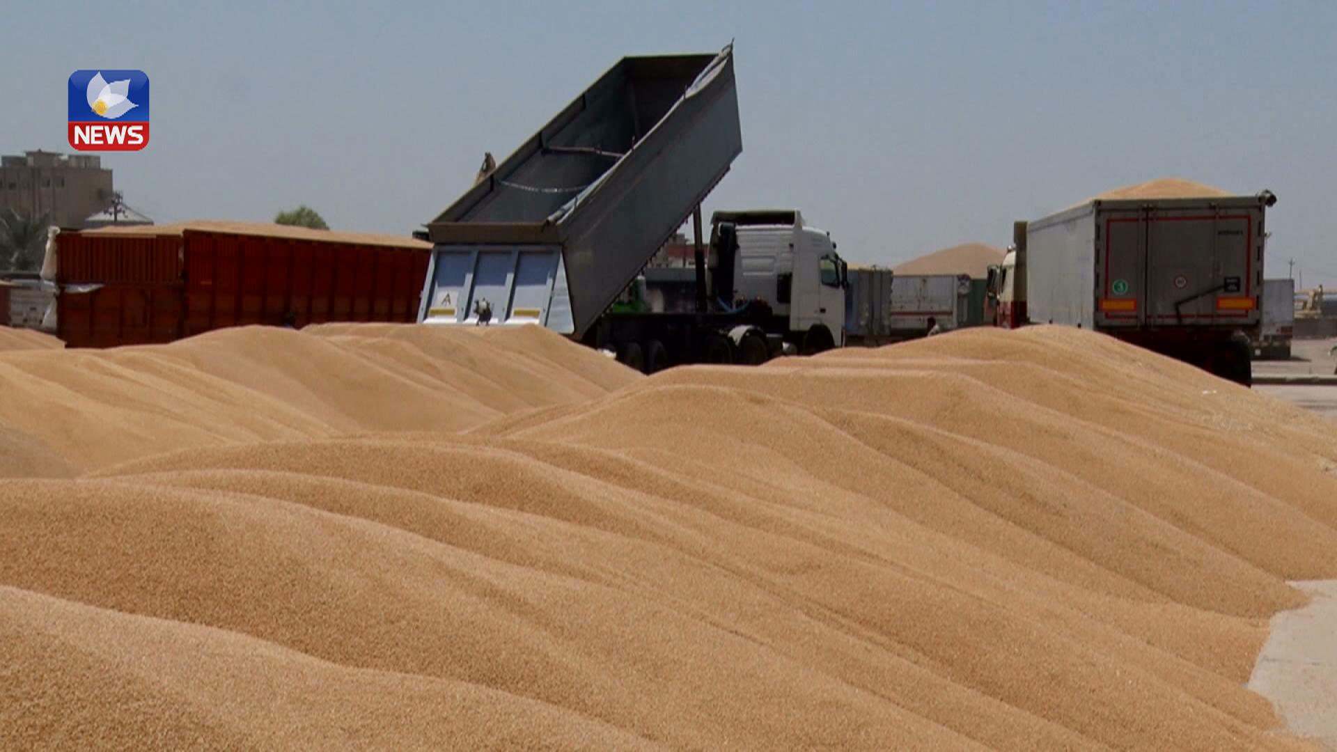 بۆ ئەمساڵ ھەر تۆنێک گەنم بە (٧٥٠) ھەزار دینار خەمڵێنراوە