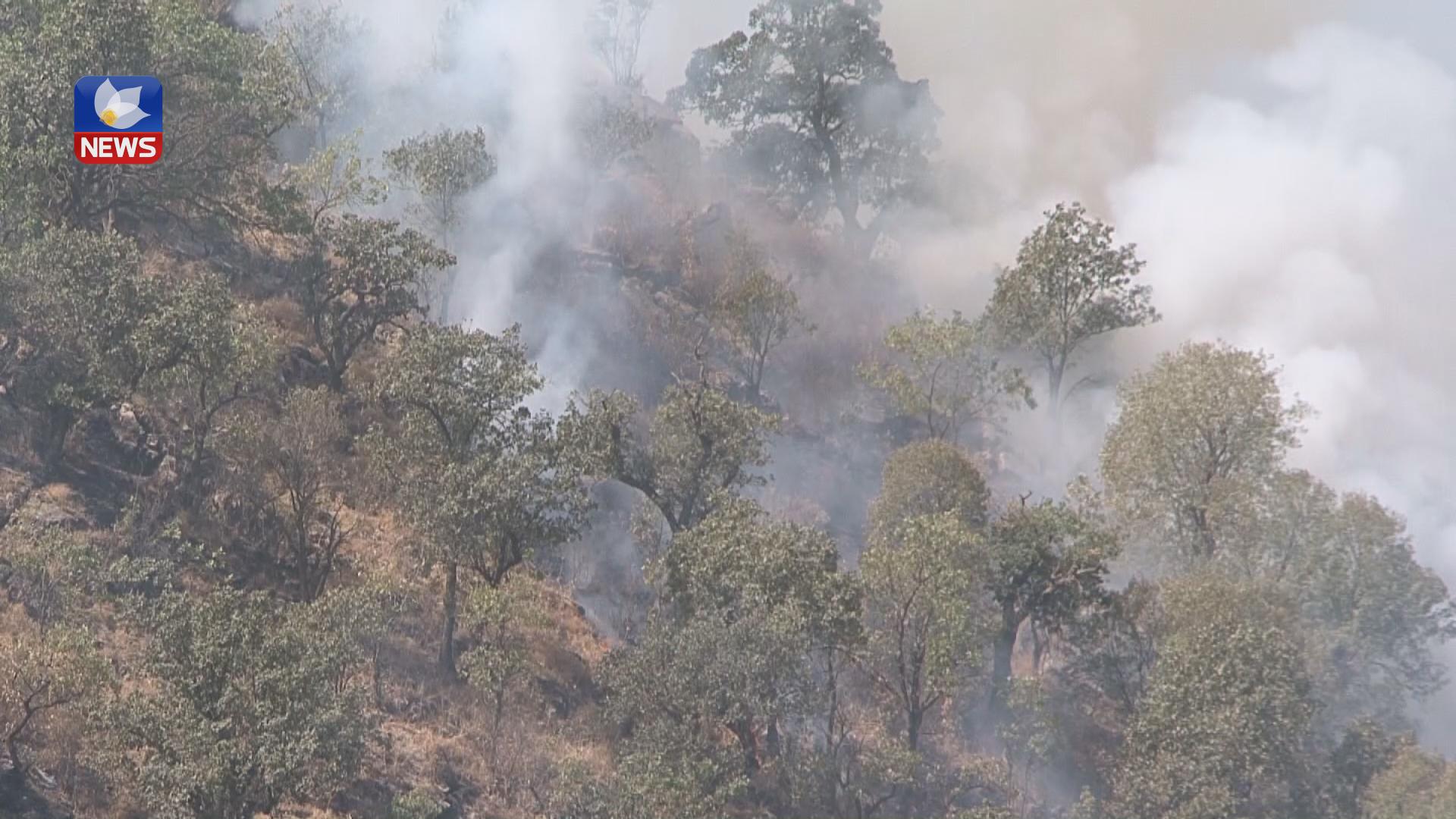 تورکیا گوندی کەشان لە زاخۆ تۆپباران دەکات