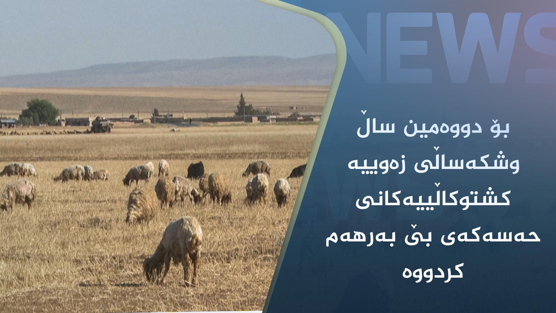 بۆ دووەمین ساڵ وشکەساڵی زەوییە کشتوکاڵییەکانی حەسەکەی بێ بەرھەم کردووە