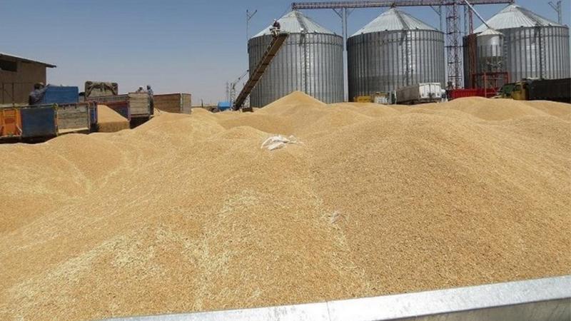 پرۆسەی وەرگرتنی گەنم لە سایلۆکانی ھەرێم بەردەوامە