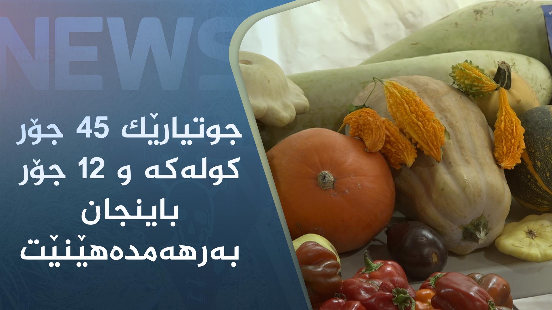 جوتیارێک ٤٥ جۆر کولەکە و ١٢ جۆر باینجان بەرهەمدەهێنێت