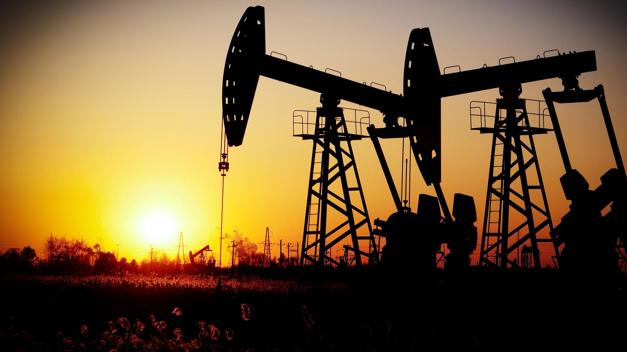 Oil prices plunge to their lowest in 7 months