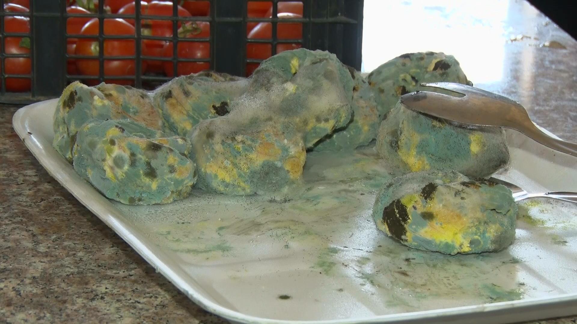 بەھۆی خواردنی خراپەوە ١٠٠ خوێندکاری زانکۆی دھۆک ژەھراوی دەبن 