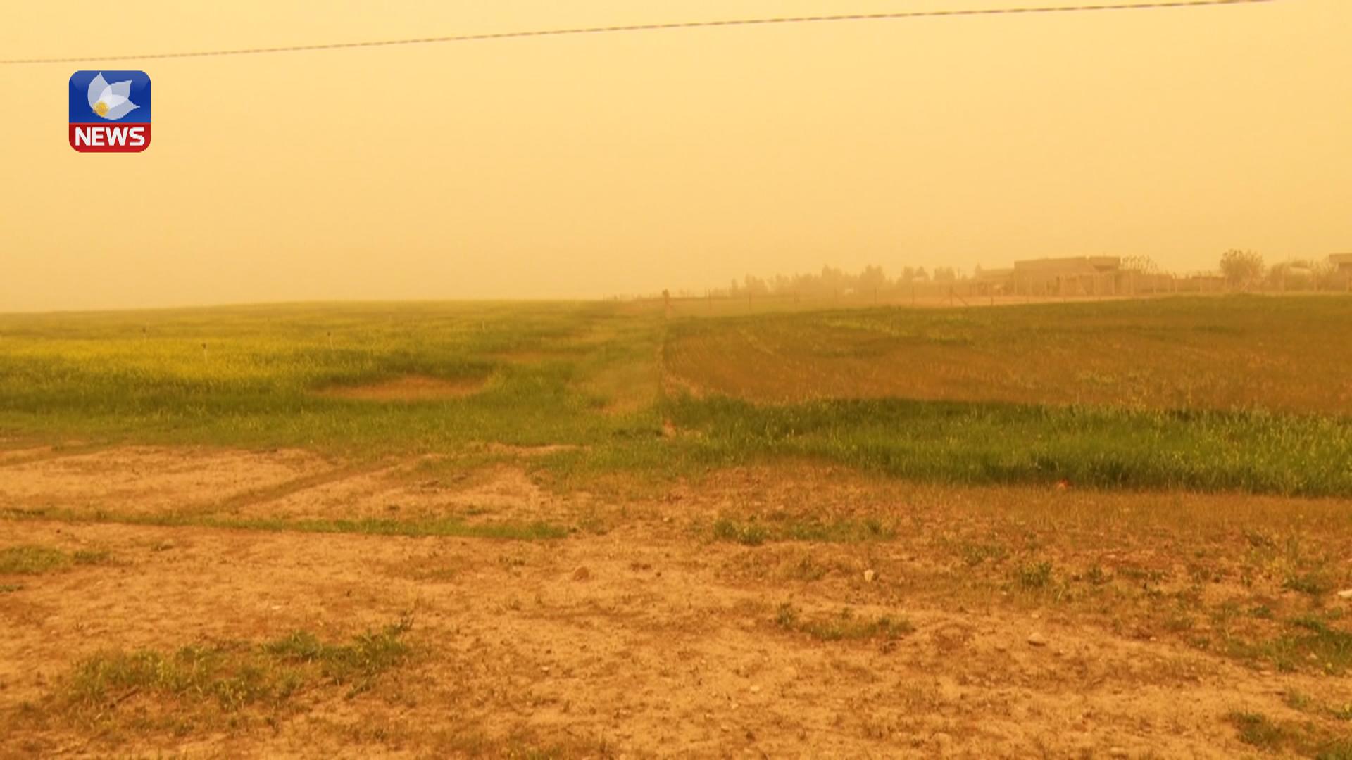 وشکەساڵی تەنگی بە جوتیارانی کەرکوک ھەڵچنیوە