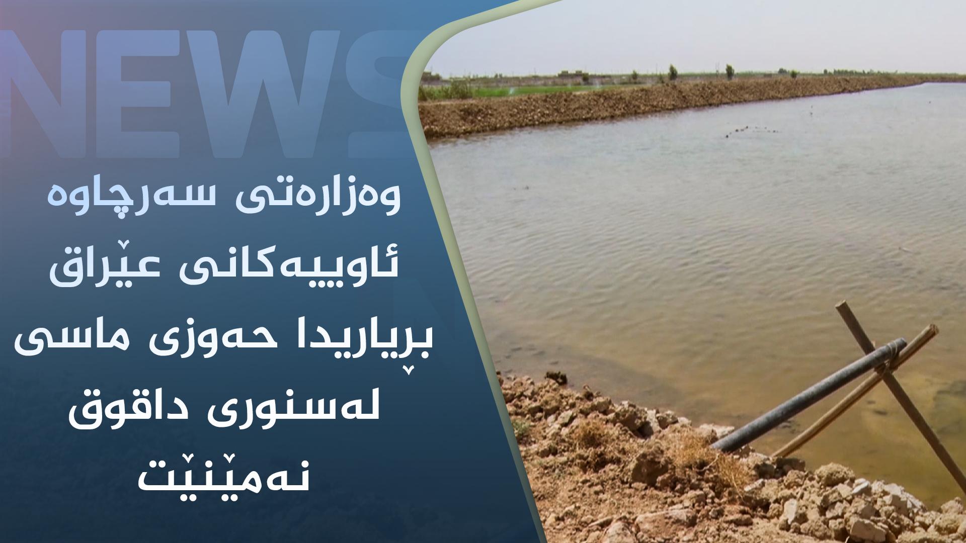 وەزارەتی سەرچاوە ئاوییەکانی عێراق بڕیاریدا حەوزی ماسی لەسنوری داقوق نەمێنێت