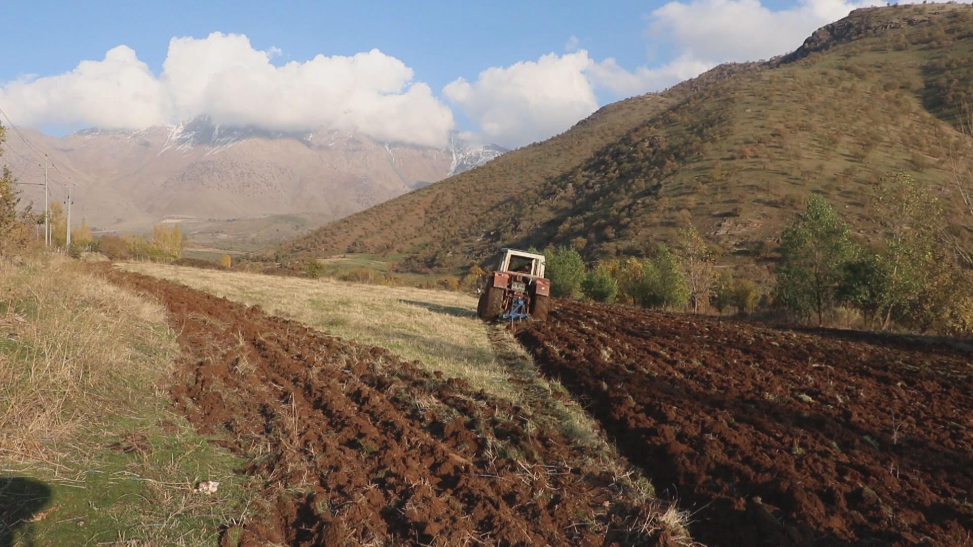 ساڵانە لە برادۆست هەزار جووتیار كاری داچاندنی بەروبوومی كشتوكاڵی خۆماڵی دەكەن