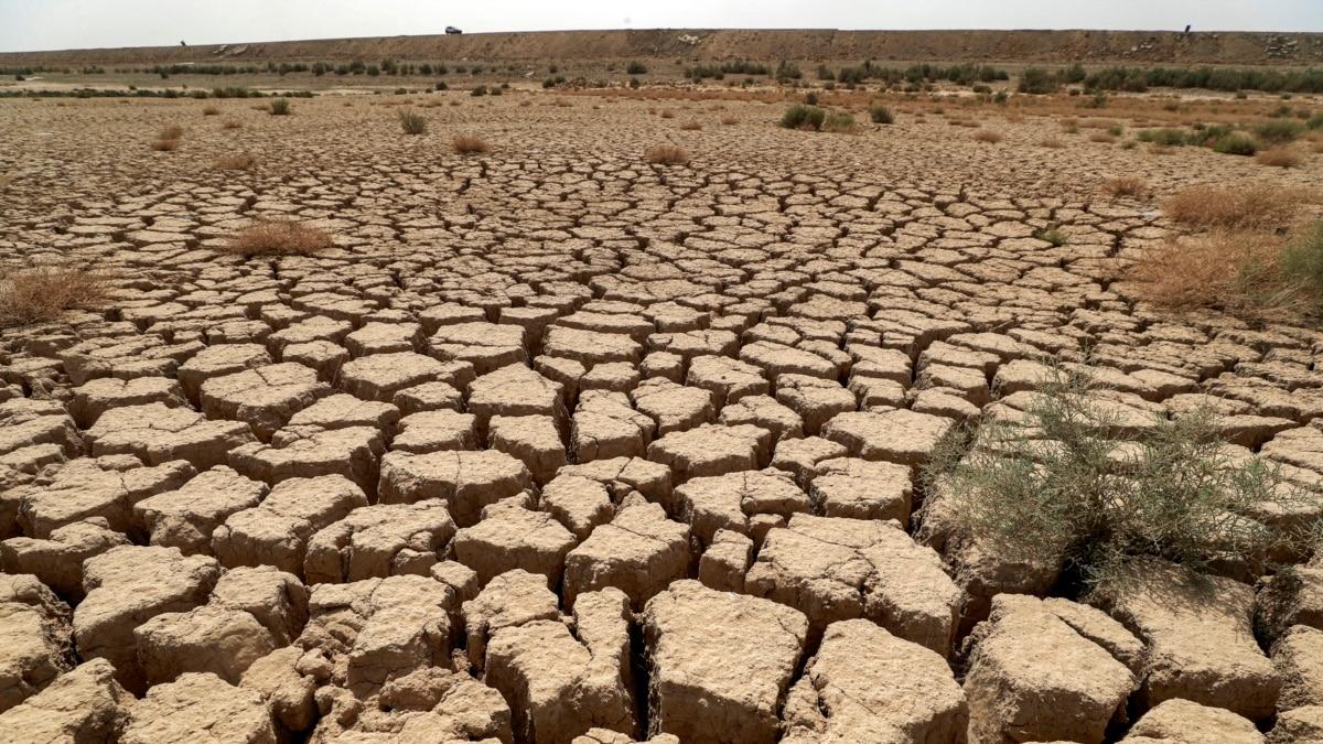 چەند ناوچەیەکی ھەرێم ھەڕەشەی بە بیابانبوونیان لەسەرە