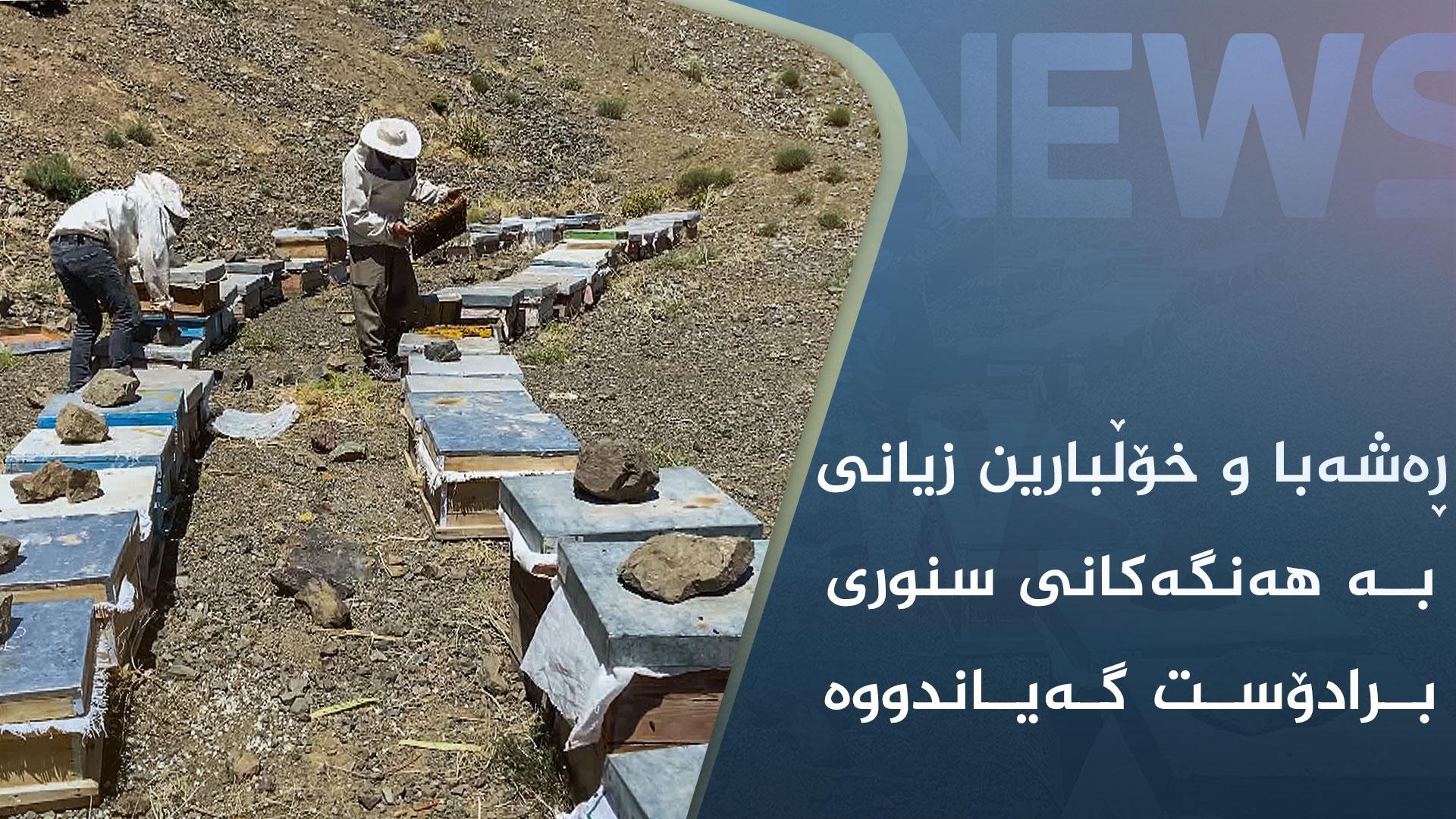 ڕەشەبا و خۆڵبارین زیانی بە ھەنگەکانی سنوری برادۆست گەیاندووە