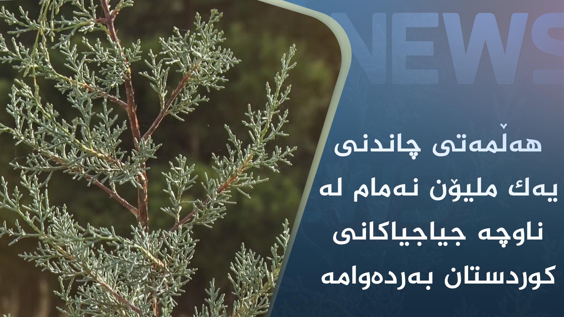 ھەڵمەتی چاندنی یەک ملیۆن نەمام لە ناوچە جیاجیاکانی کوردستان بەردەوامە