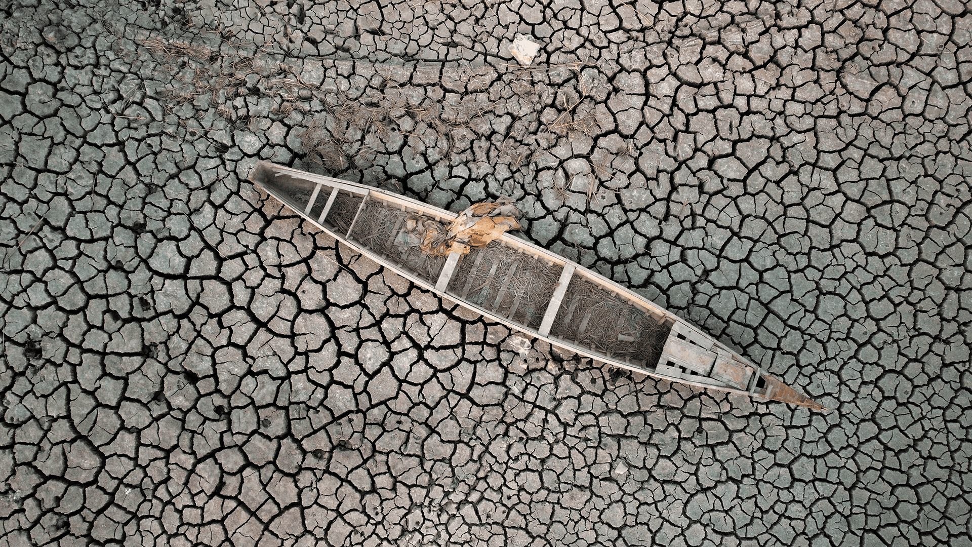 نائب: تصحر أكثر من 90٪ من الأراضي الزراعية في العراق