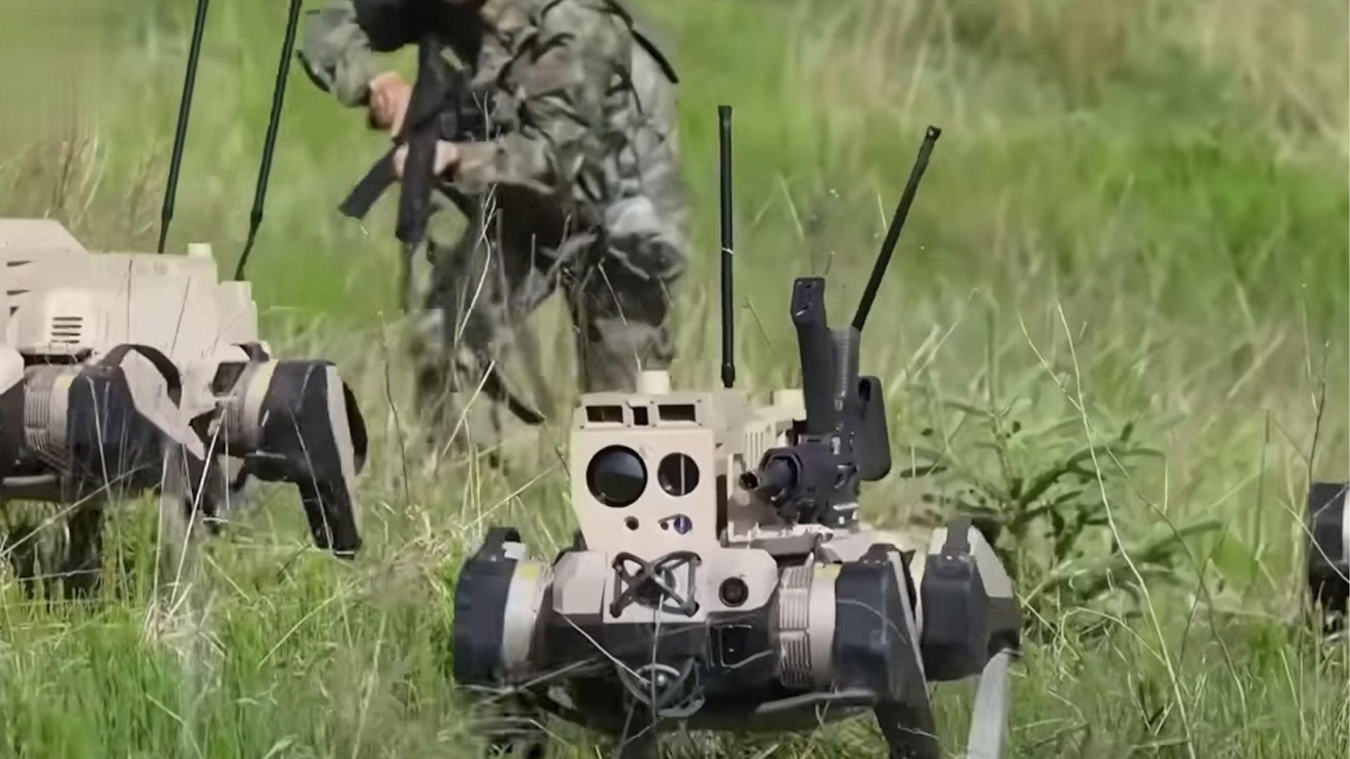 الصين تصنع روبوتًا يُسمى اقتل الذئب