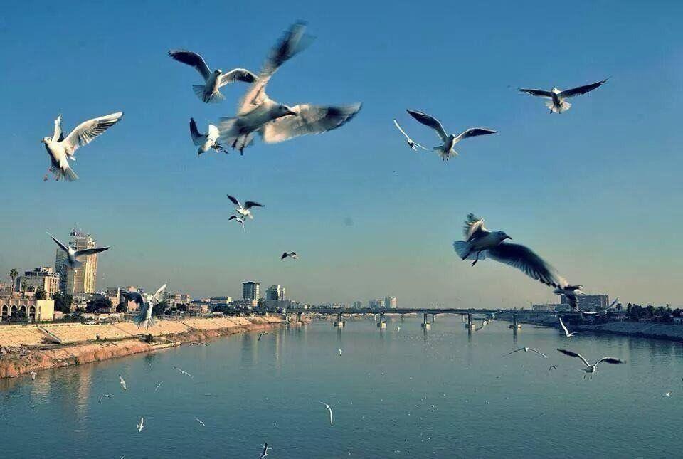 طقس العراق.. اجواء صحوة وانخفاض درجات الحرارة بدءا من يوم الاثنين