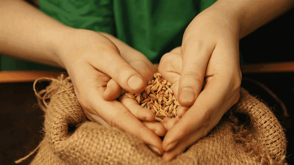 تفاصيل عن زكاة الفطر في العراق.. السيستاني يجاوب بشأنها