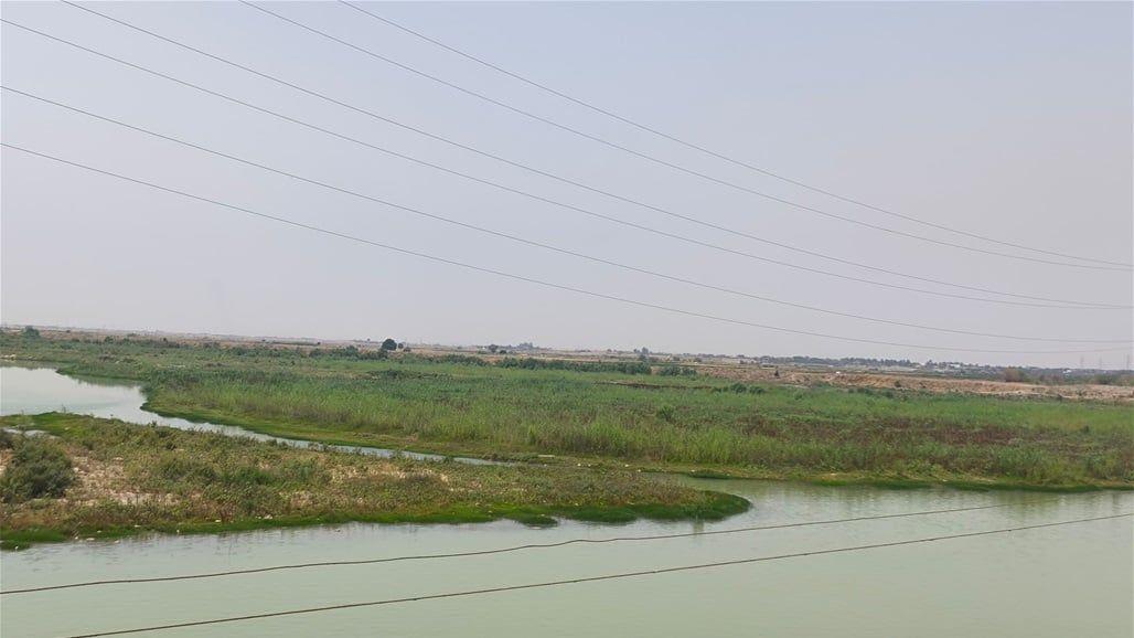 الموارد المائية تبلغ فلاحي العراق: لا توجد خطة صيفية لهذا العام