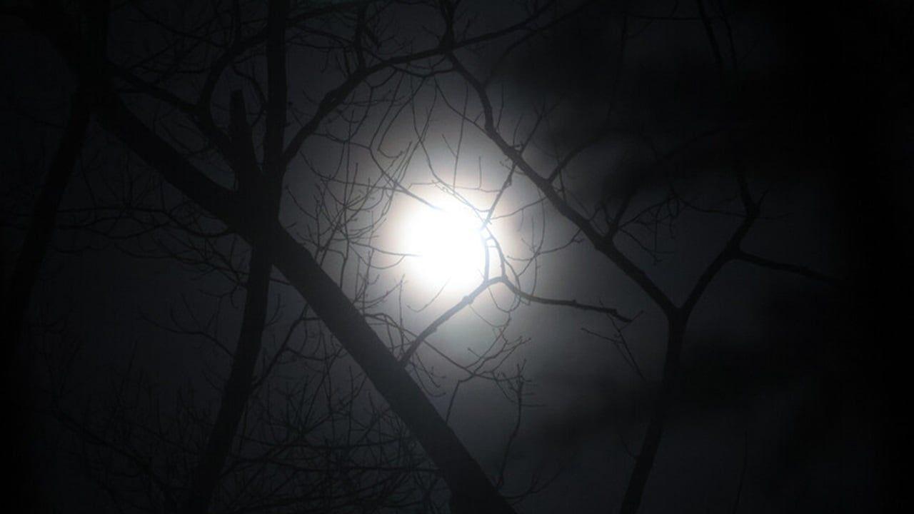 قمر الحصاد العملاق يضيء السماء مطلع أكتوبر