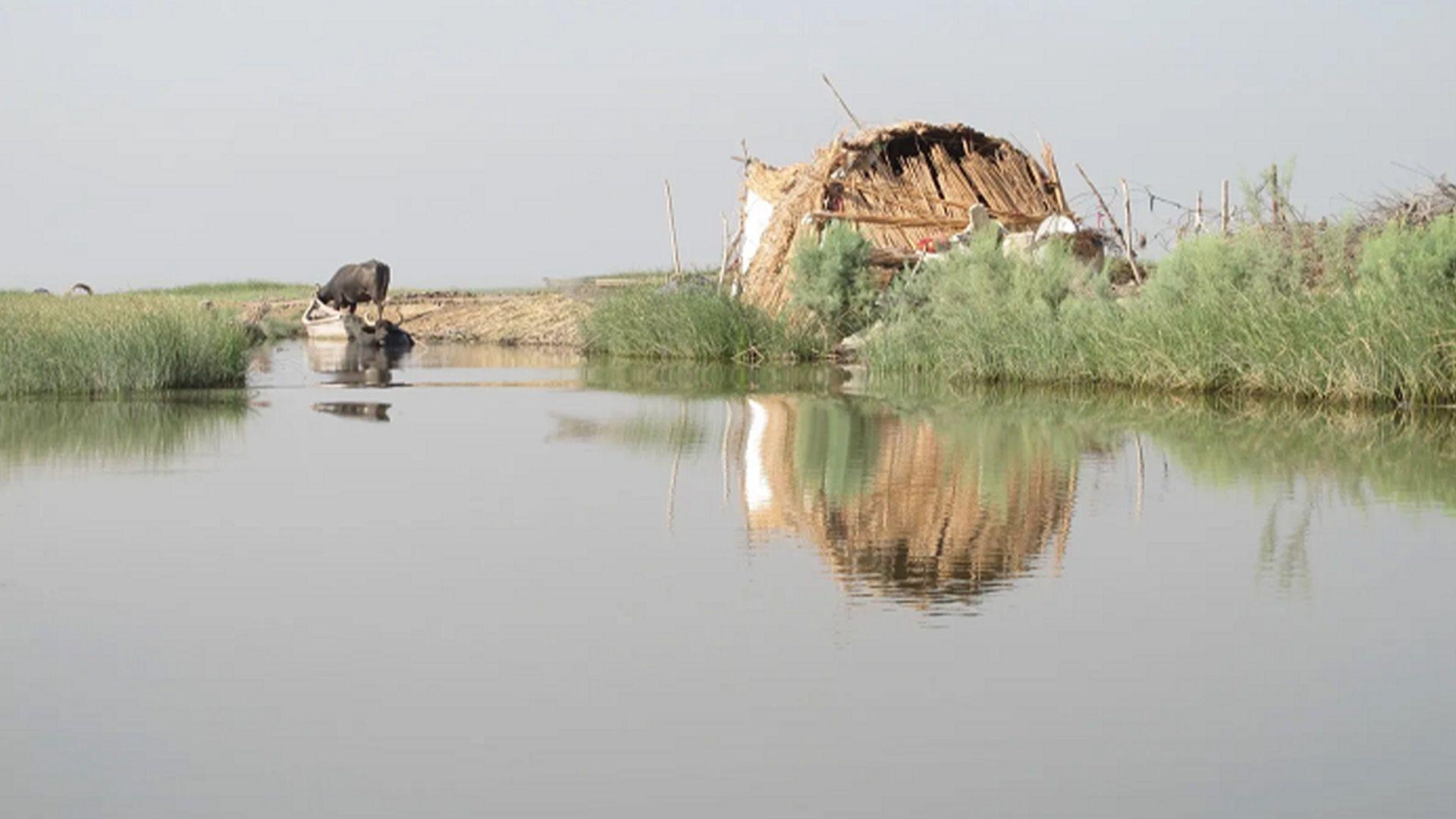 كەشناسی عیراق: لە ناوەڕاستی ئەم مانگەدا پلەكانی گەرما دادەبەزن