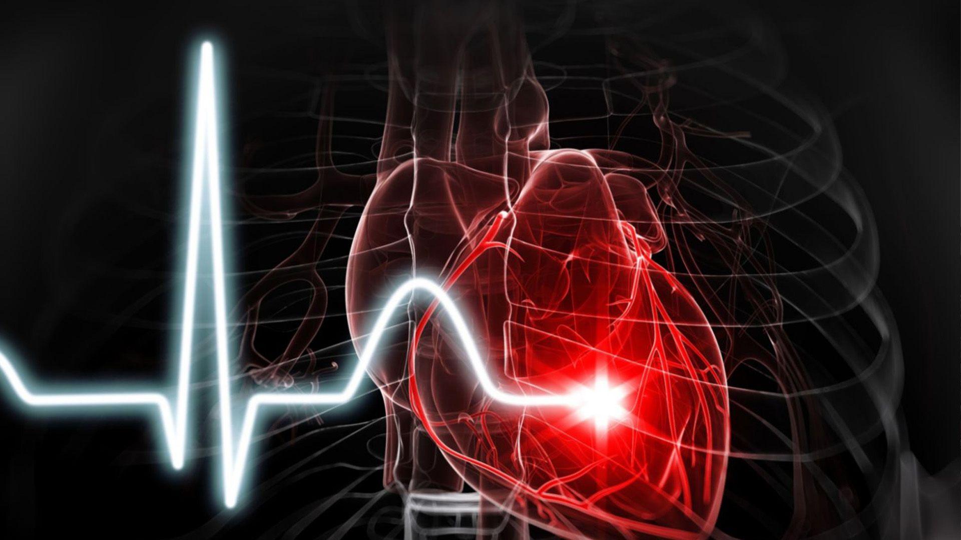لە 24 سەعاتدا خوێن زیاتر لە 19 هەزار کیلۆمەتر لە جەستدا دەبڕێت