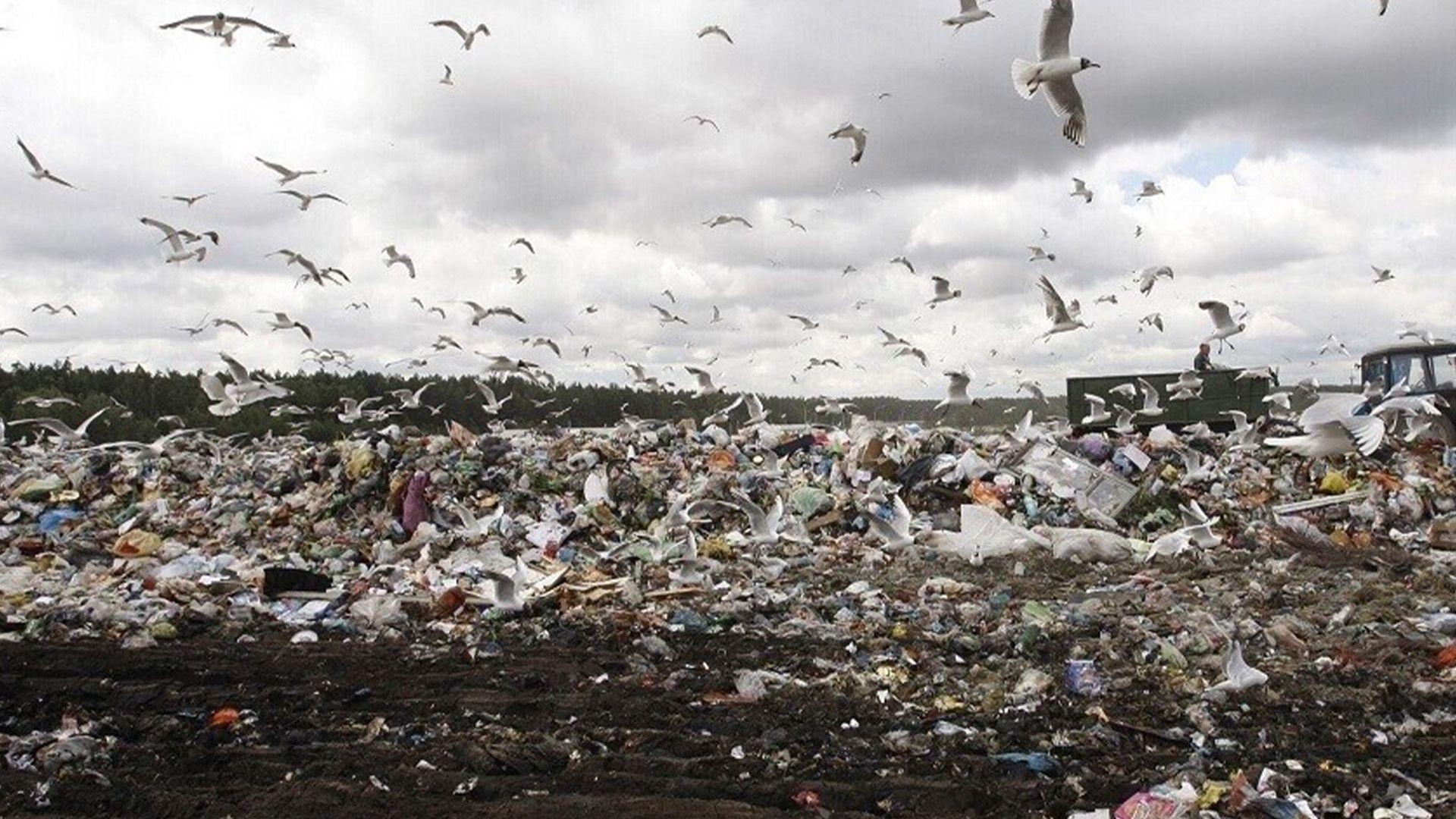 چین: توشی کێشەی کەمی خۆڵ و خاشاک بووینەتەوە