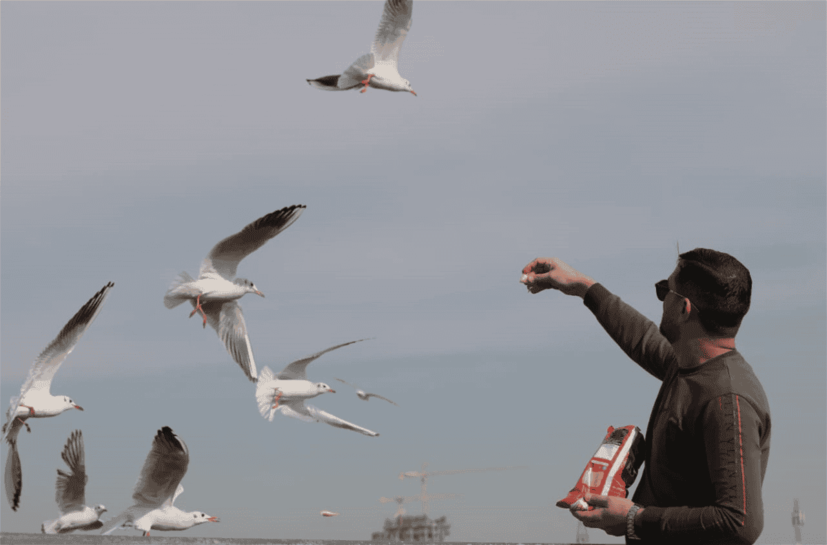 طقس العراق.. رياح خفيفة وانخفاض في درجات الحرارة خلال الأيام الأربعة المقبلة