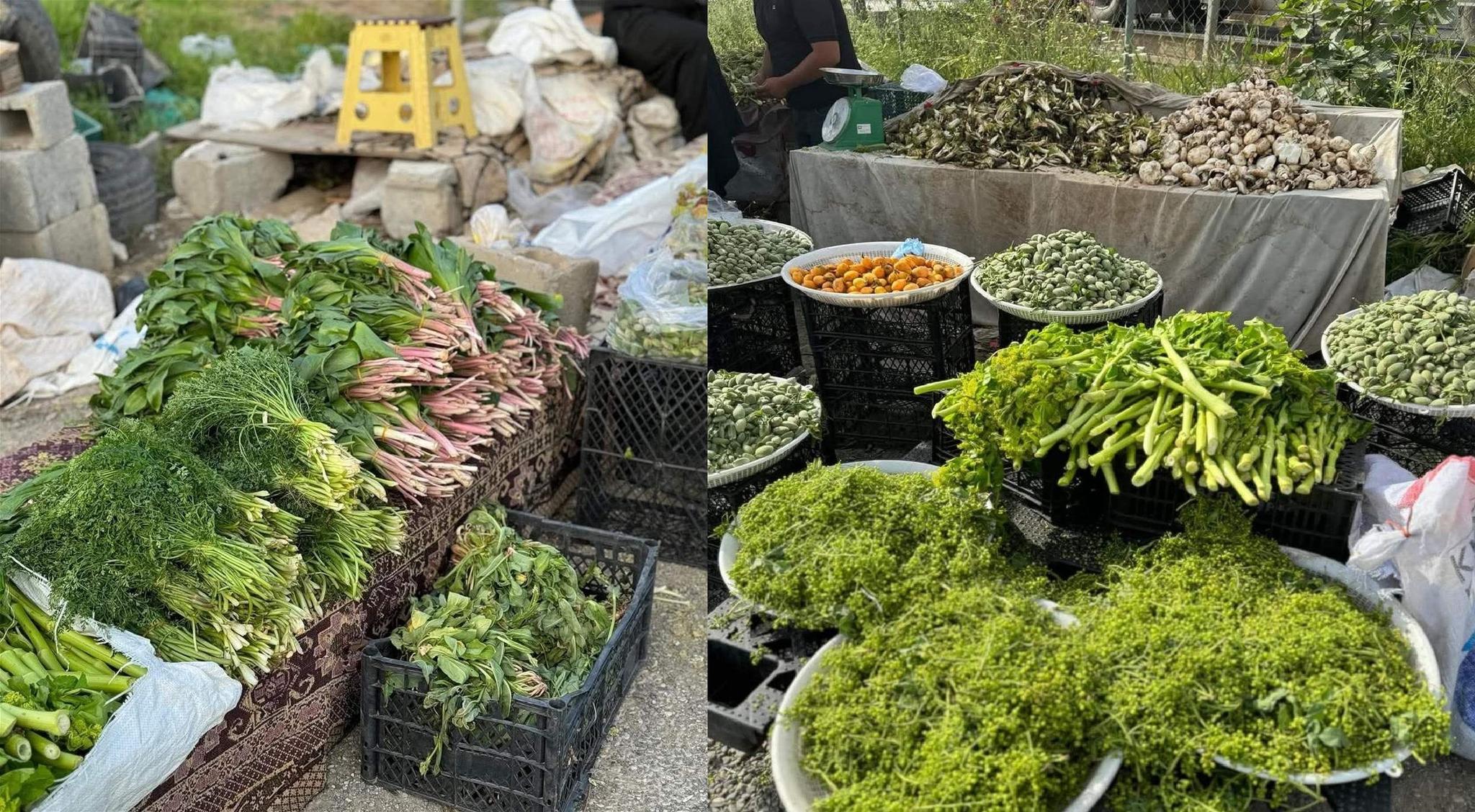 ابرزها "كروك ورواش وسوز".. اعشاب كوردية غريبة ذات نكهات لذيذة 