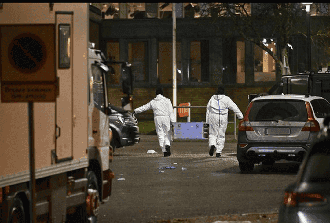 ئەمریکا... لە پارکێکدا تەقە لە ژمارەیەک هاووڵاتی کرا و دوو کەس کوژران