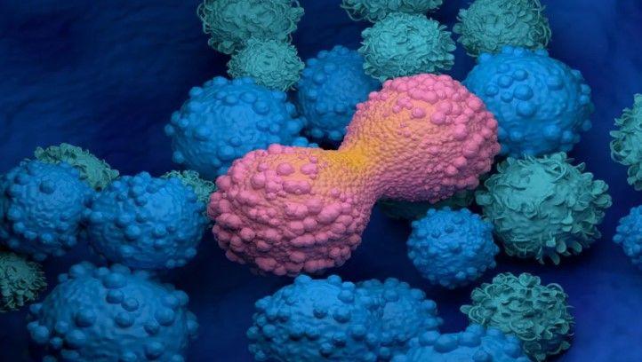 جهاز محمول منخفض التكلفة يكتشف السرطان خلال ساعة واحدة