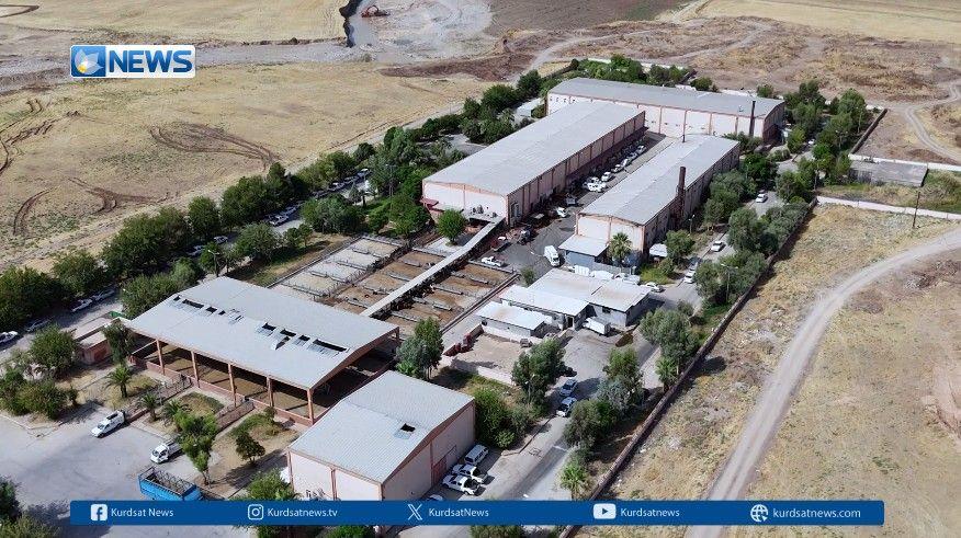 گرانبوونی نرخی گۆشتی سوور لە هەرێمی کوردستان