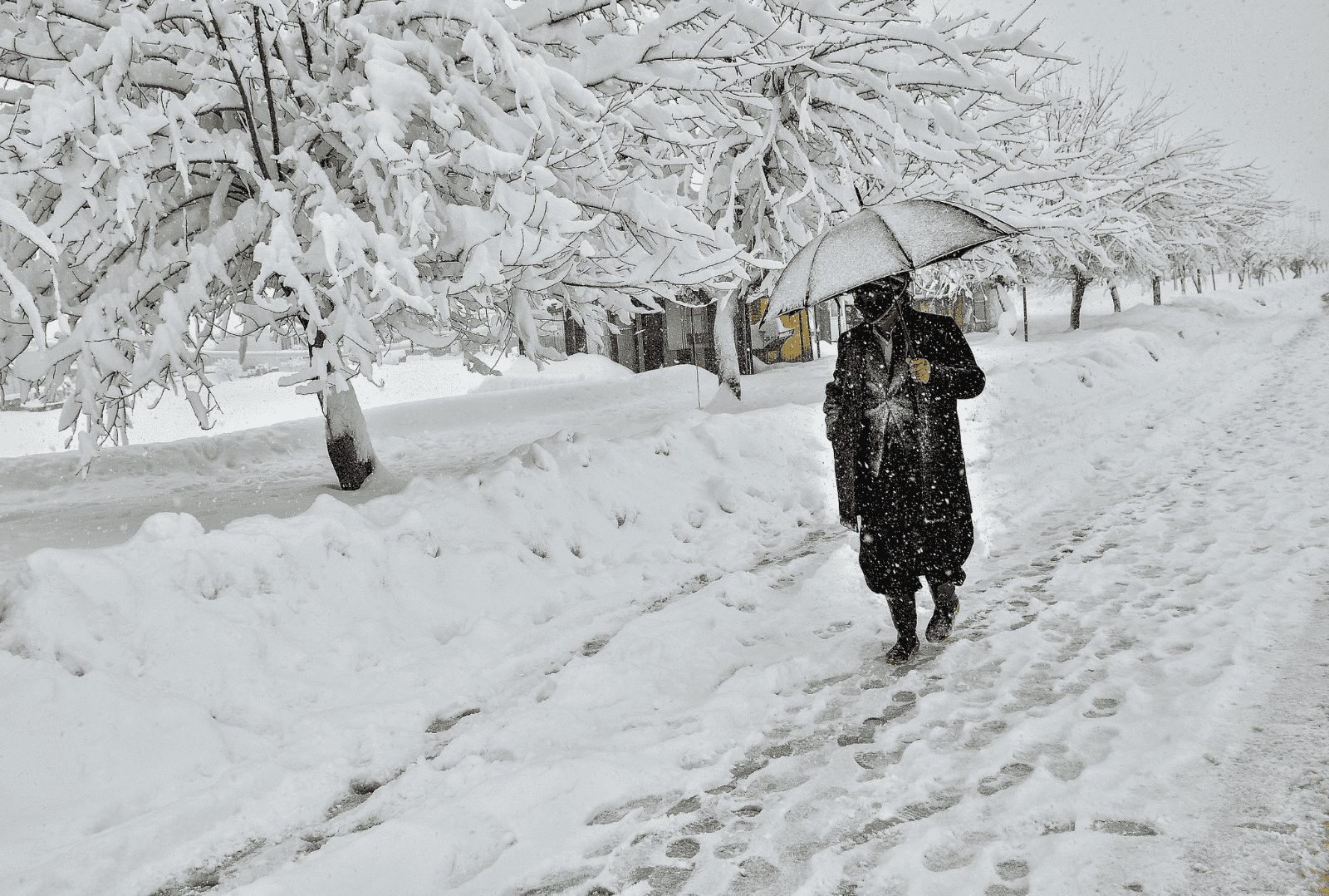 کەشناسیی سلێمانی: مانگی رابردوو ساردترین شوباتی 30 ساڵی رابردوو بووە
