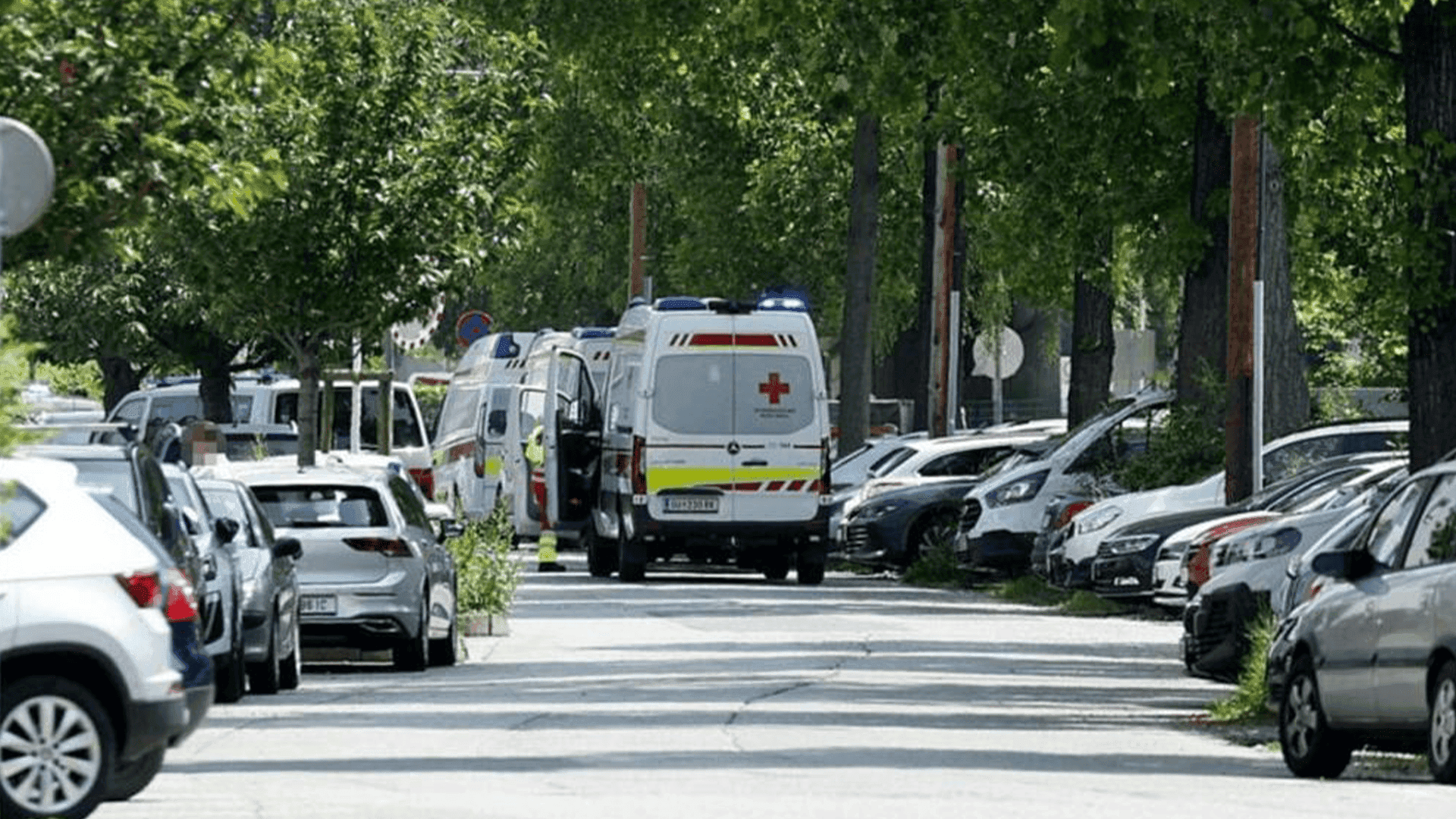 لە هێرشێکدا بۆسەر خوێندنگەیەک لە نەمسا 10کەس کوژران