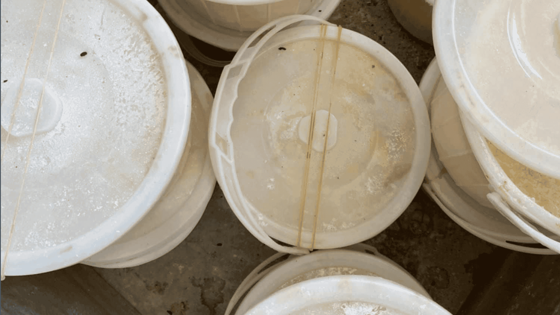 بەهۆی پابەندنەبوون بە رێنماییە تەندروستییەکان دوکانێکی ماستفرۆشی داخرا