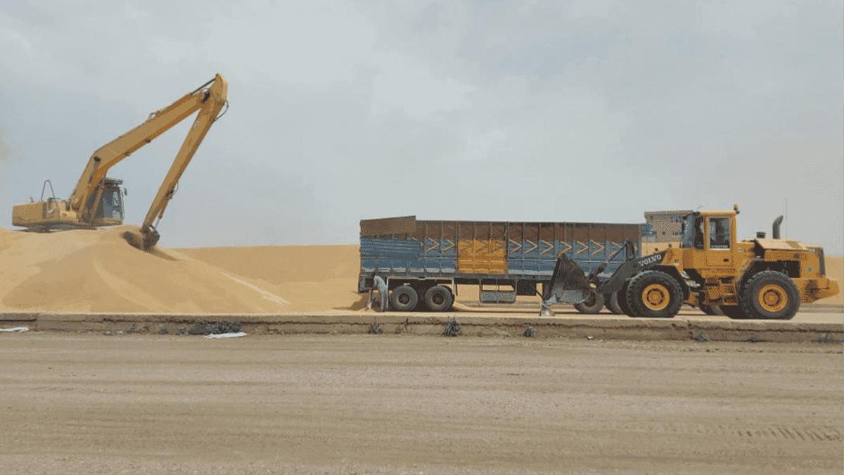 زیاتر لە دوو ملیۆن تۆن بەرهەمی گەنمی جوتیارانی عیراق رادەستی سایلۆكان كراوە