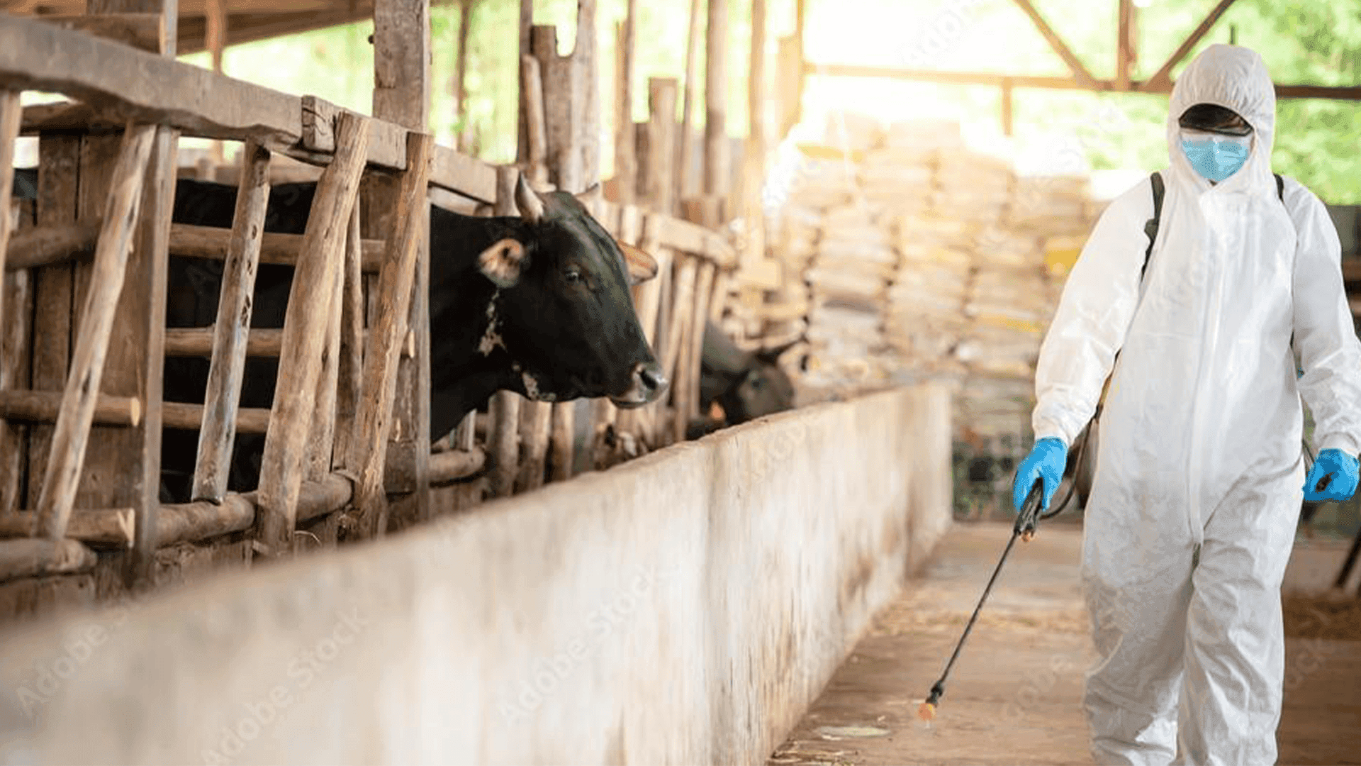 وەزارەتی تەندروستی سەبارەت بە چۆنێتی خۆ پاراستن لە تای خوێنبەربوون راگەیەندراوێکی بڵاوکردەوە