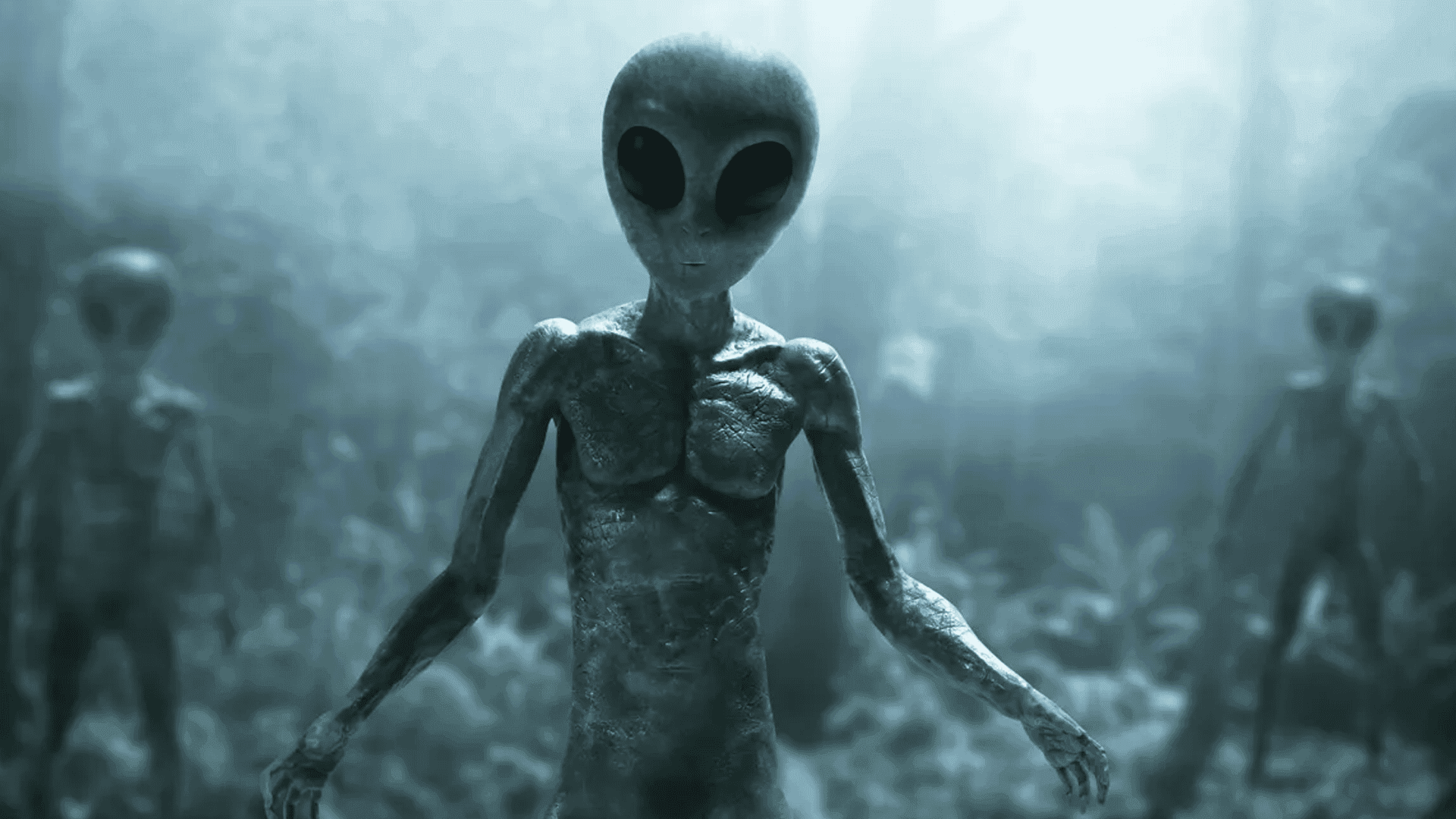 ترەمپ، ئۆباما و مەتەڵی ونبوونی دۆسیەی بونەوەرە ئاسمانییەکان