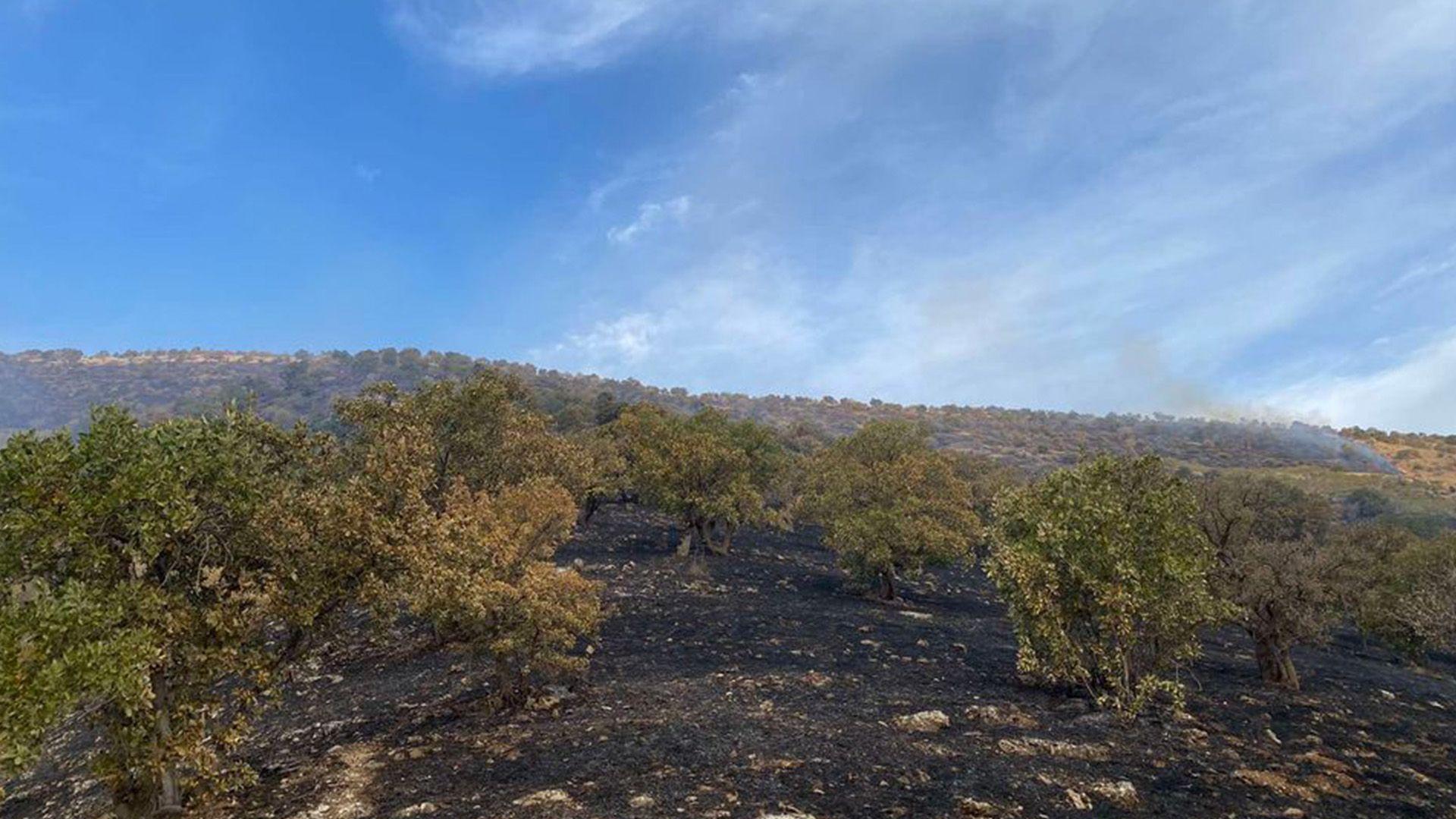 لە سنوورى ماوەت ٢٠٠ دۆنم پوشوپاوان سووتا 