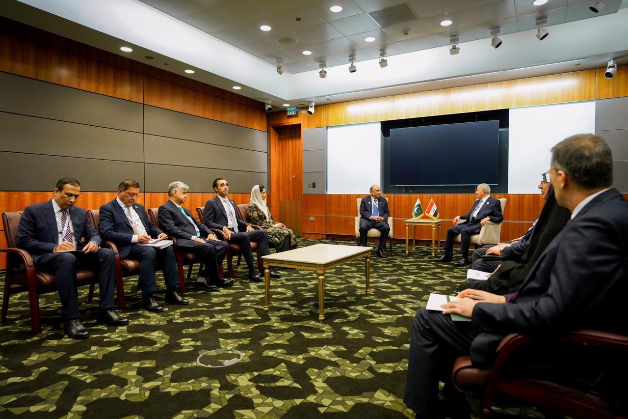 رئيس الجمهورية يلتقي الرئيس الباكستاني على هامش أعمال مؤتمر القمة العالمي الثاني للتنمية الاجتماعية في قطر