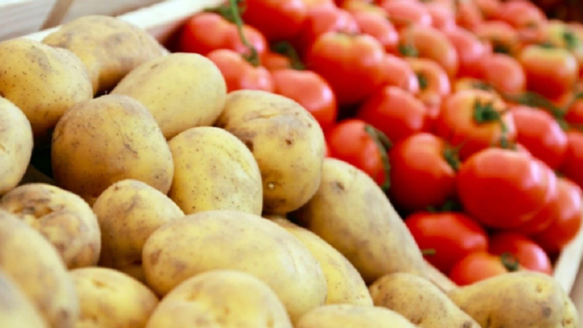 كشتوكاڵی عیراق: نزیكین له‌ خۆبژێوی لە بەرهەمی ته‌ماته‌ و په‌تاته‌
