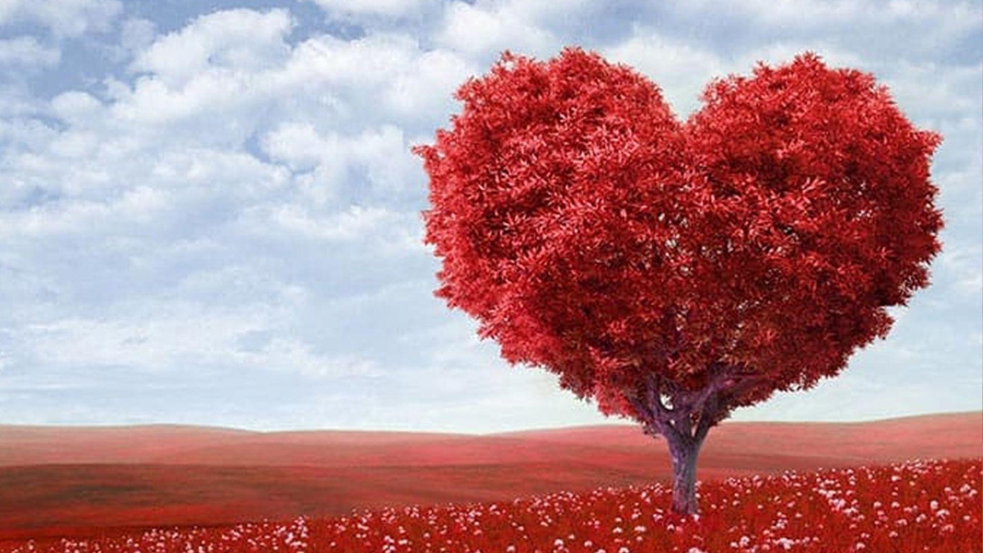 رۆژی ڤالانتاین لە چییەوە هاتووە؟ چۆن بوو بە رۆژی خۆشەویستی؟