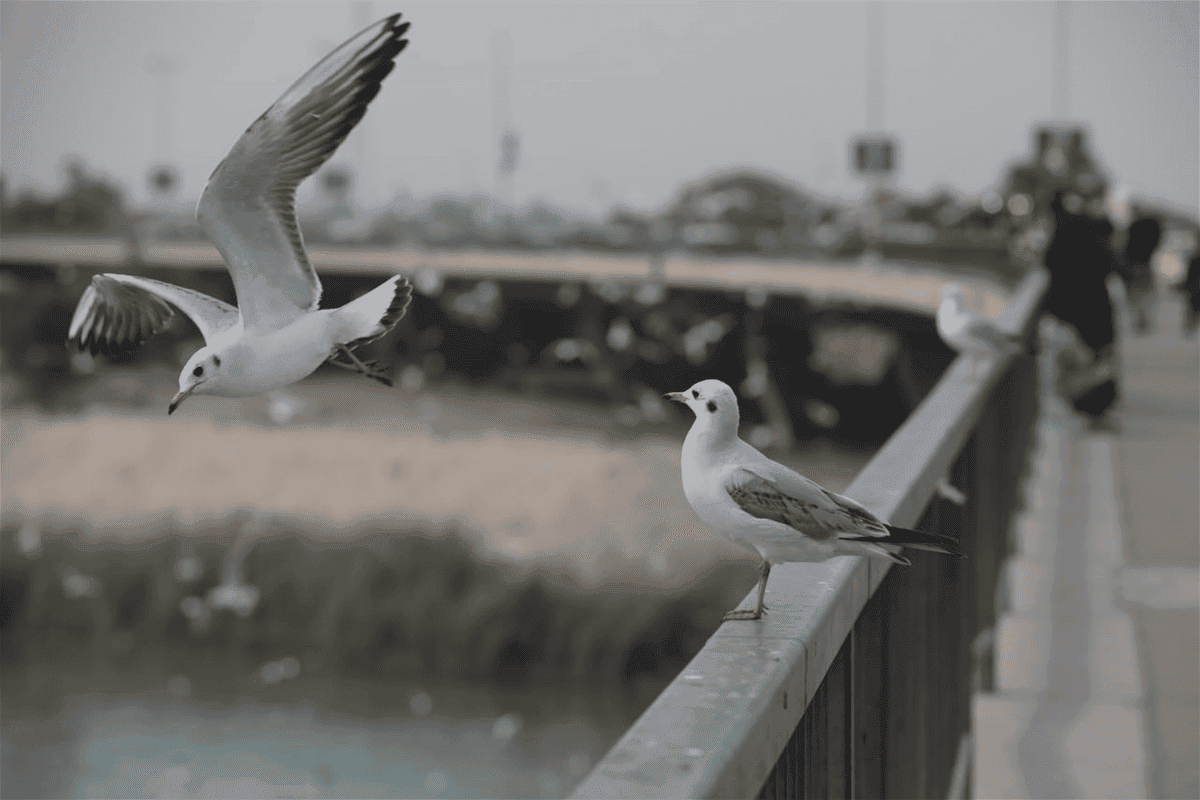 طقس العراق..  أجواء صحوة وانخفاض درجات الحرارة