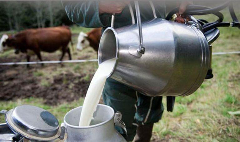 دراسة: الحليب الخام سبب رئيس لنقل فيروسات الإنفلونزا للبشر